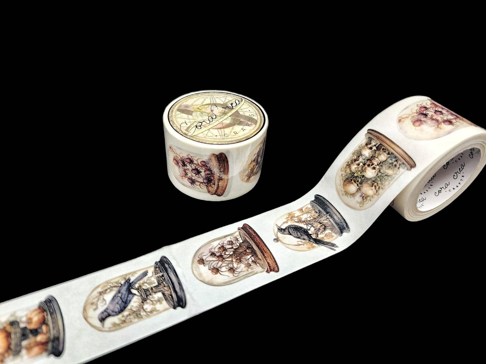 Specimen Domes Transparent Tape | CoraCreaCrafts