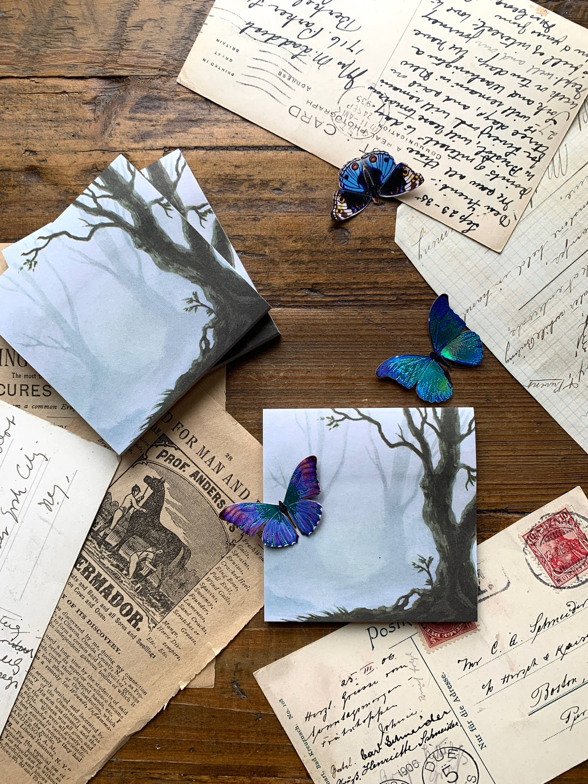 Enchanted Woods Sticky Notes by The Creeping Moon | Papertail Fox