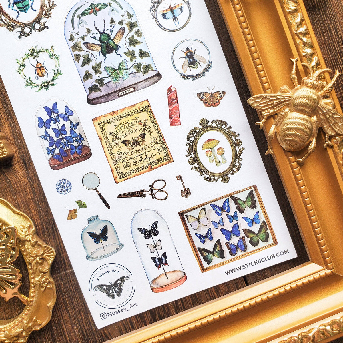 Entomology Collection Sticker Sheet | Stickii