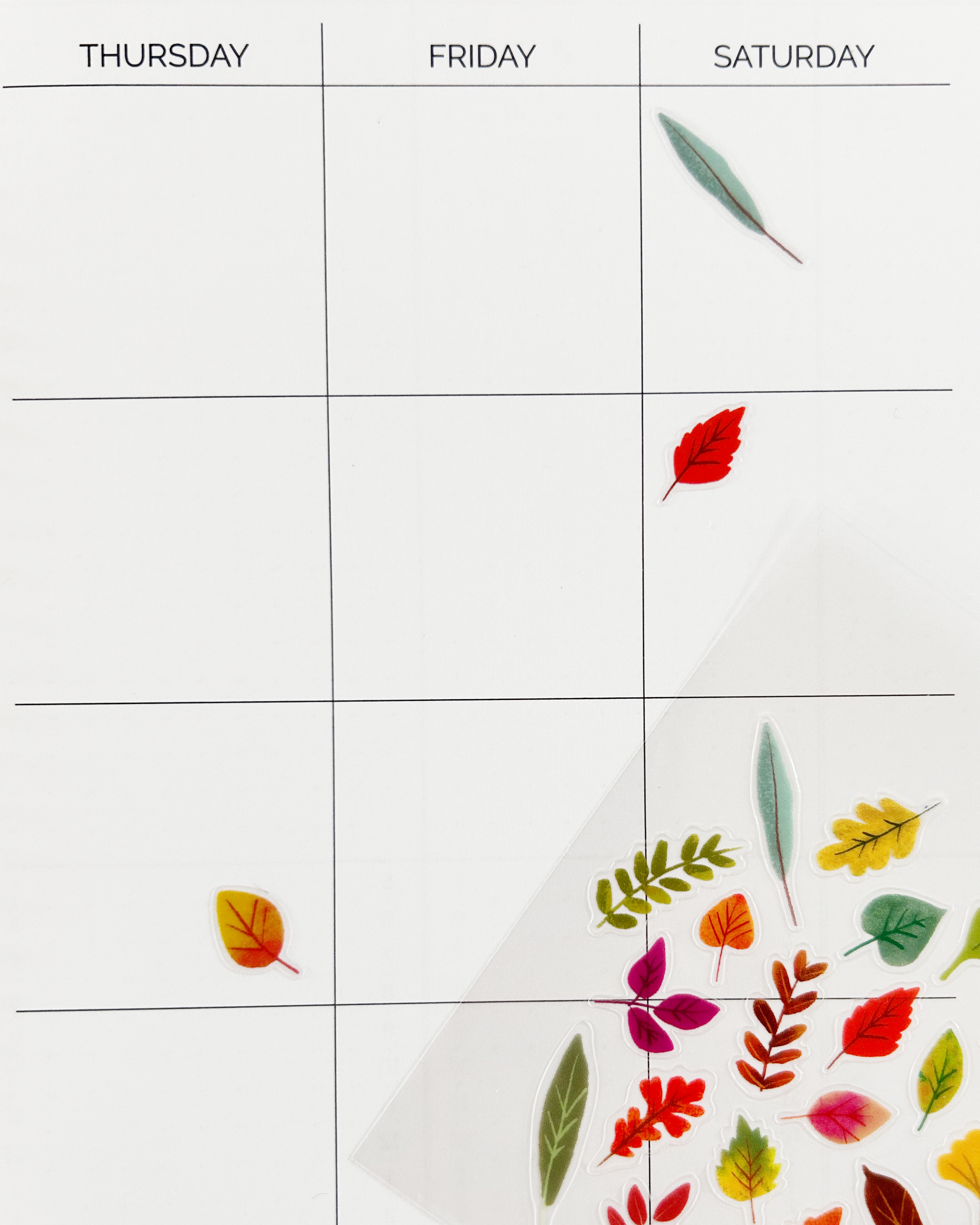 Leaves Clear Stickers by Girl of All Work | Papertail Fox