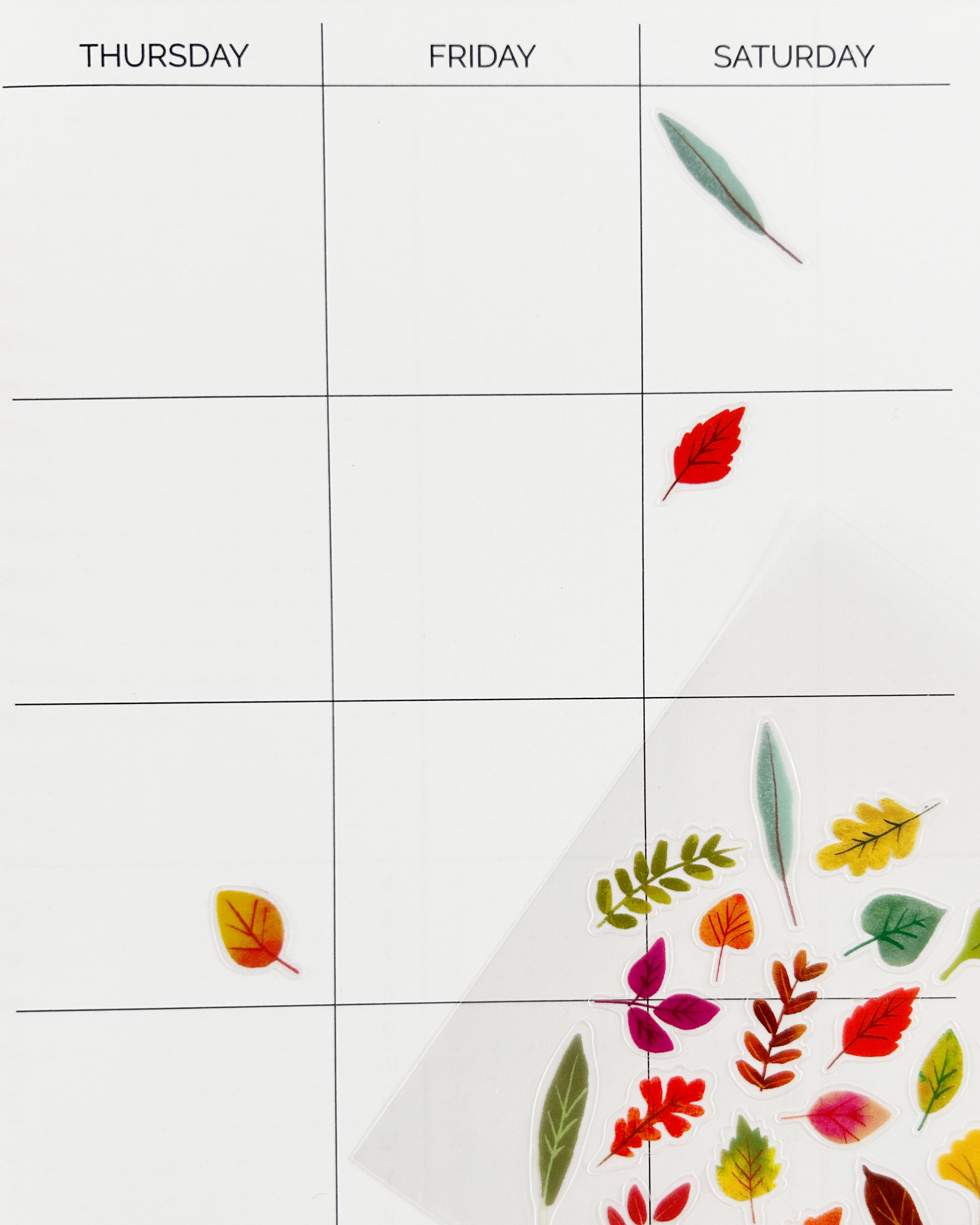 Leaves Clear Stickers by Girl of All Work | Papertail Fox