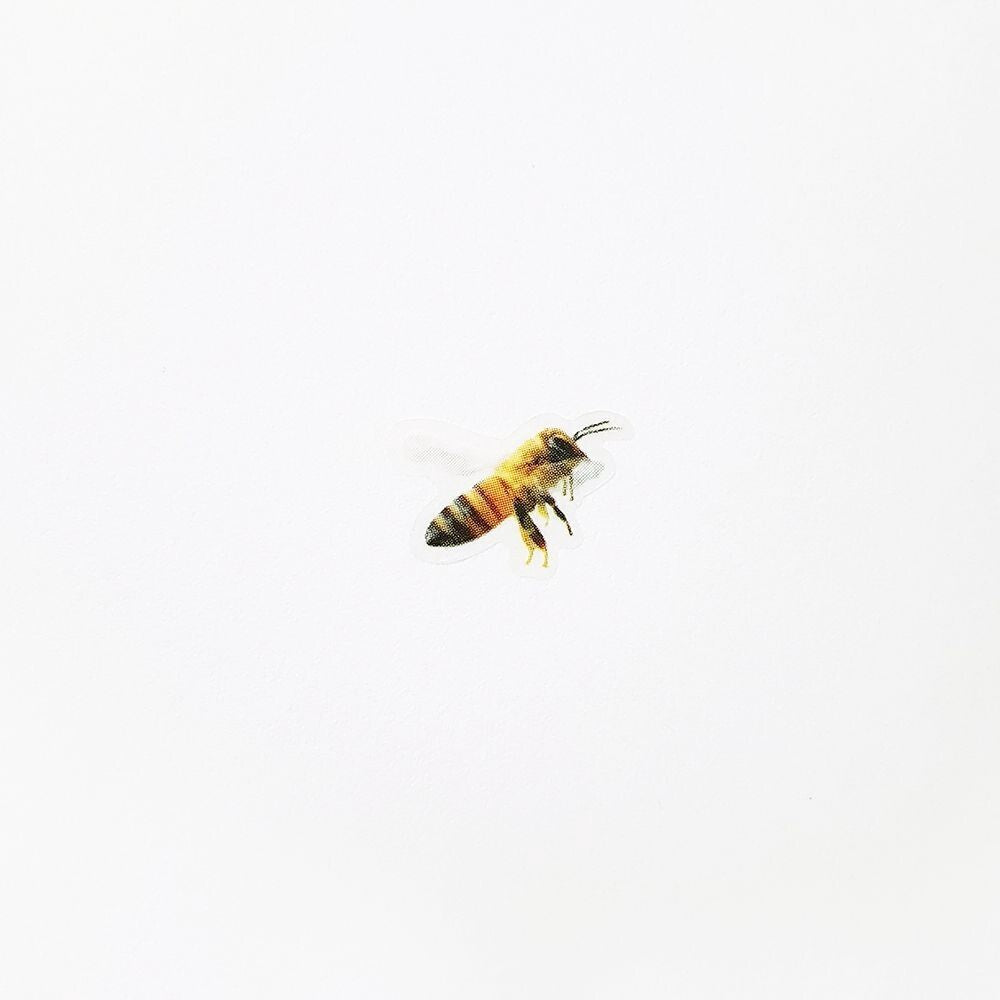 Bee Nature Stickers by Appree | Papertail Fox
