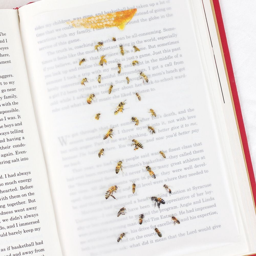 Bee Nature Stickers | Appree