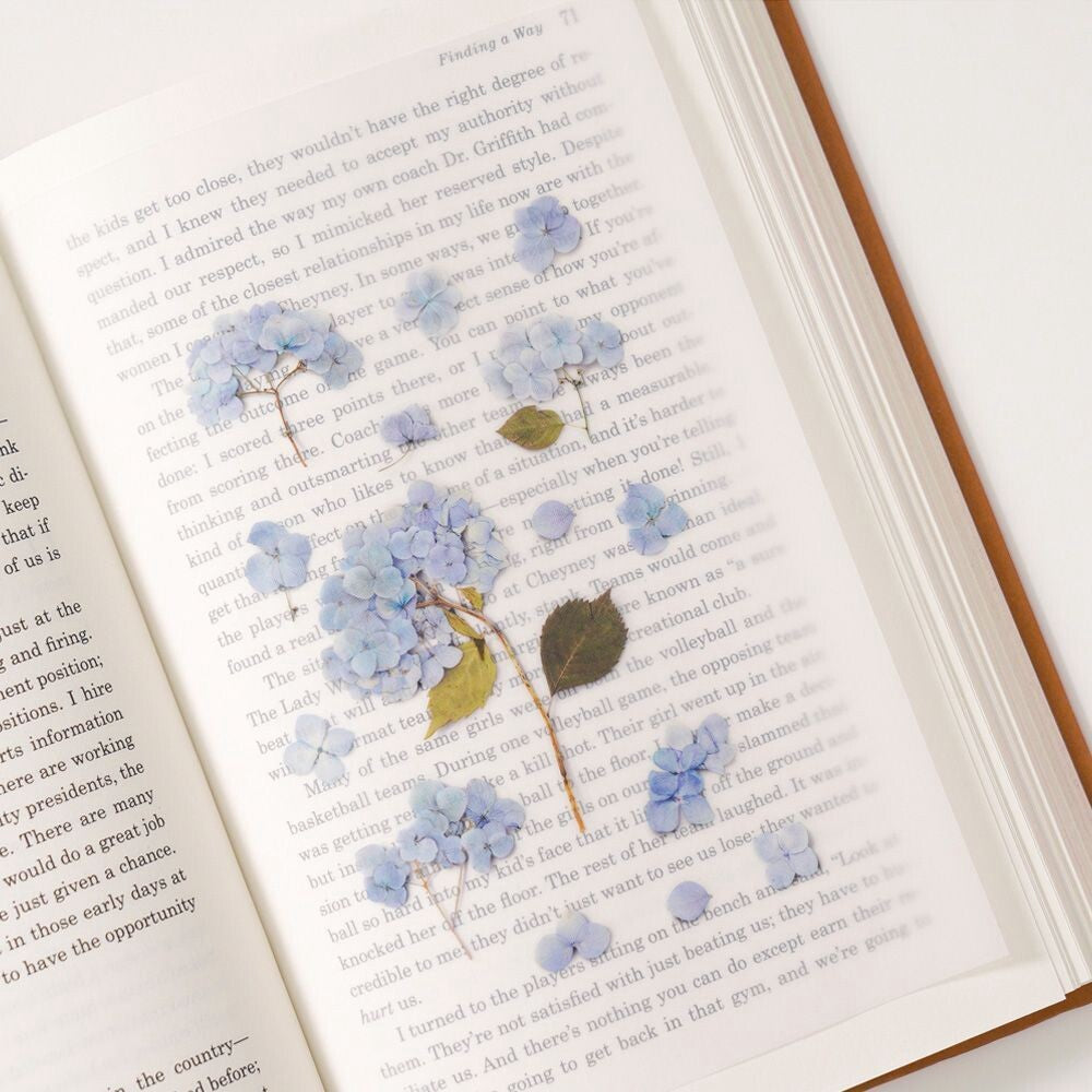 Hydrangea Pressed Flower Stickers | Appree