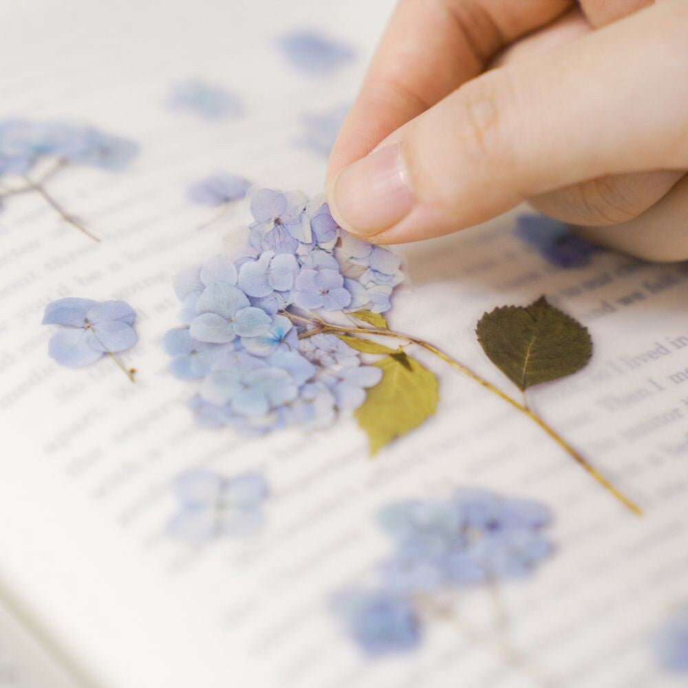 Hydrangea Pressed Flower Stickers | Appree