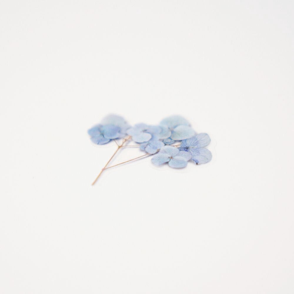 Hydrangea Pressed Flower Stickers | Appree