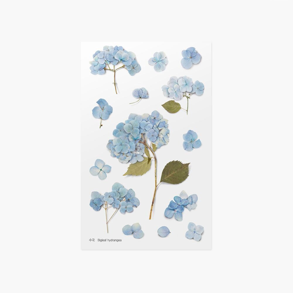 Hydrangea Pressed Flower Stickers | Appree
