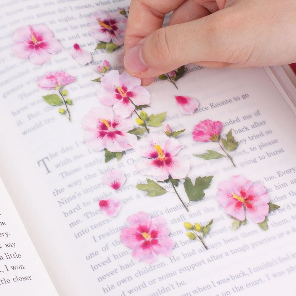 Rose of Sharon Pressed Flower Stickers | Appree