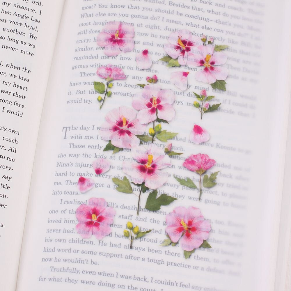 Rose of Sharon Pressed Flower Stickers | Appree