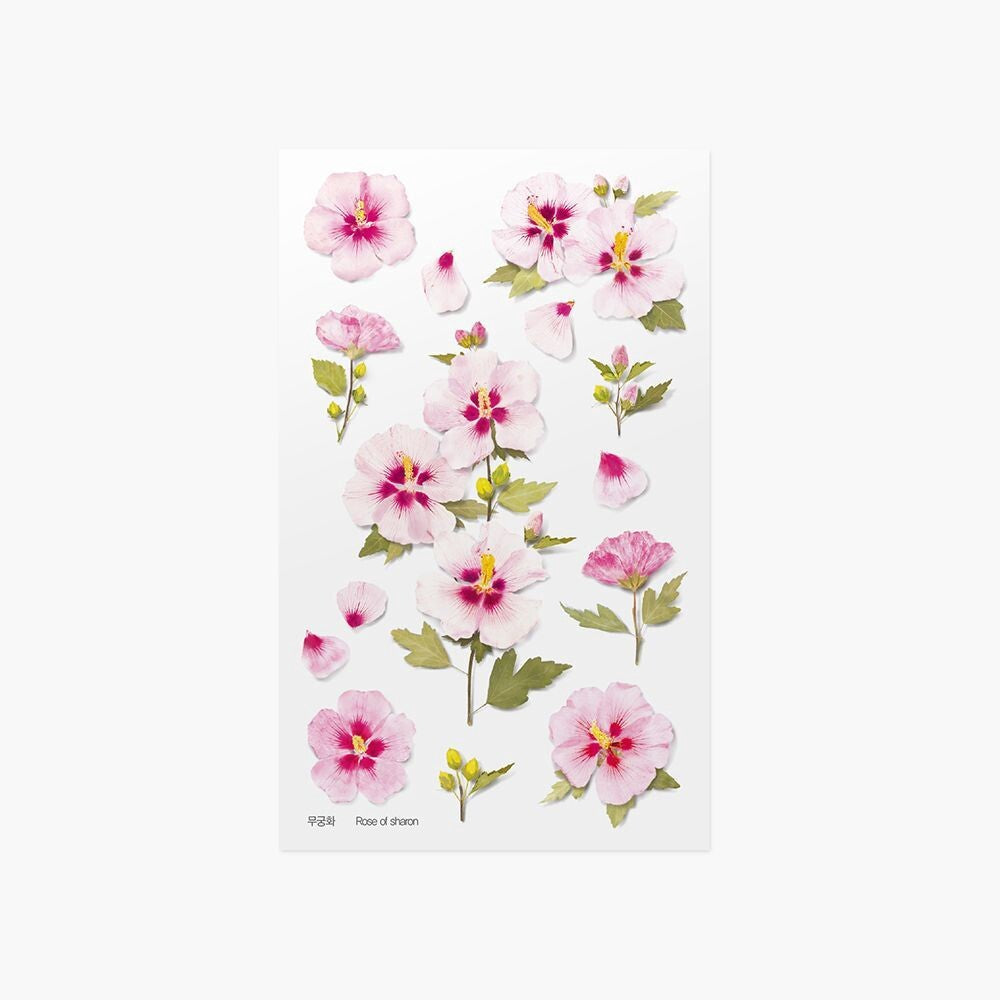 Rose of Sharon Pressed Flower Stickers | Appree