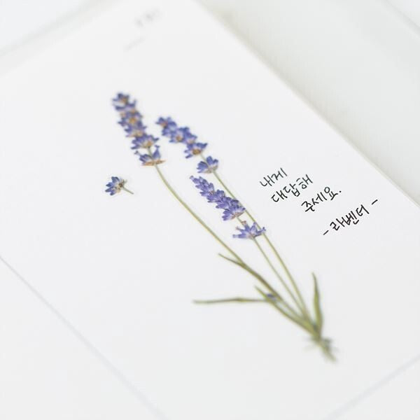 Lavender Pressed Flower Stickers | Appree