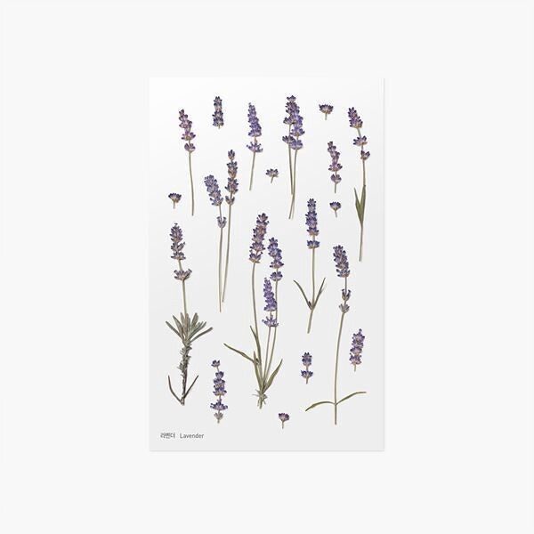 Lavender Pressed Flower Stickers | Appree