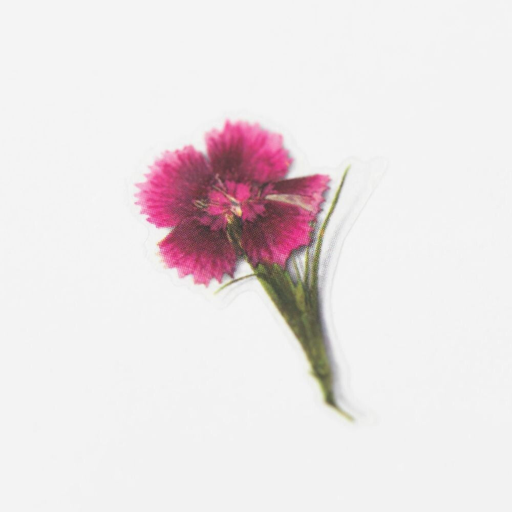 Dianthus Pressed Flower Stickers by Appree | Papertail Fox