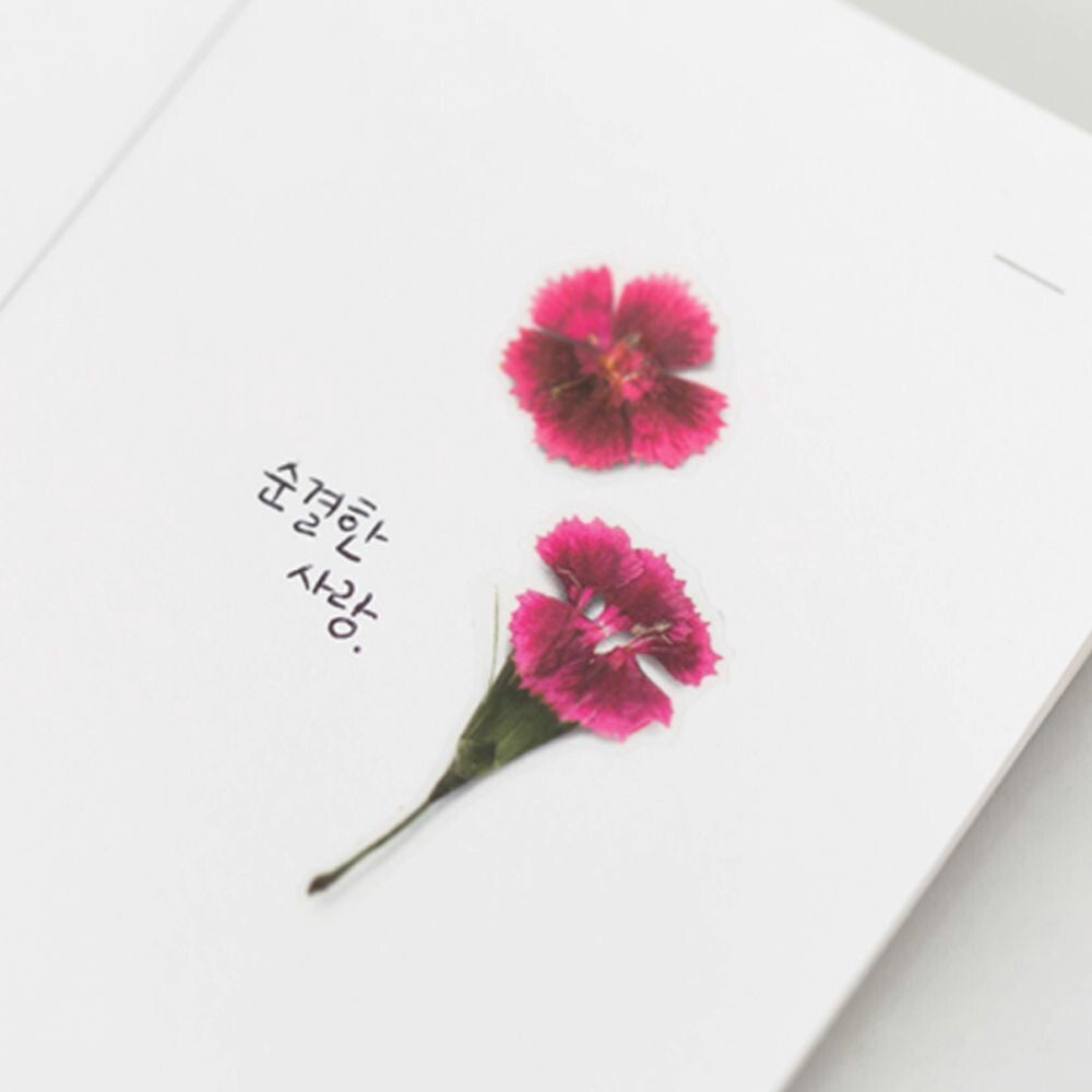 Dianthus Pressed Flower Stickers | Appree