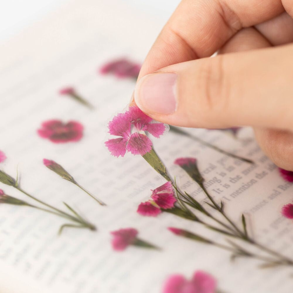 Dianthus Pressed Flower Stickers | Appree