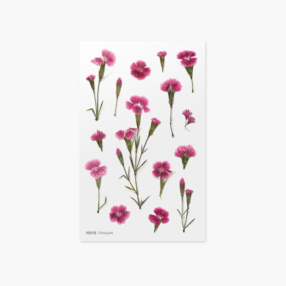 Dianthus Pressed Flower Stickers | Appree