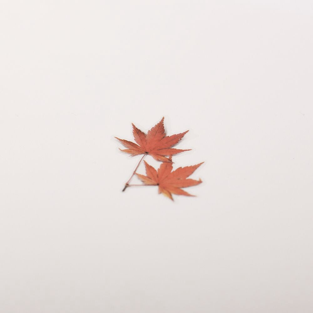 Japanese Maple Pressed Flower Stickers | Appree
