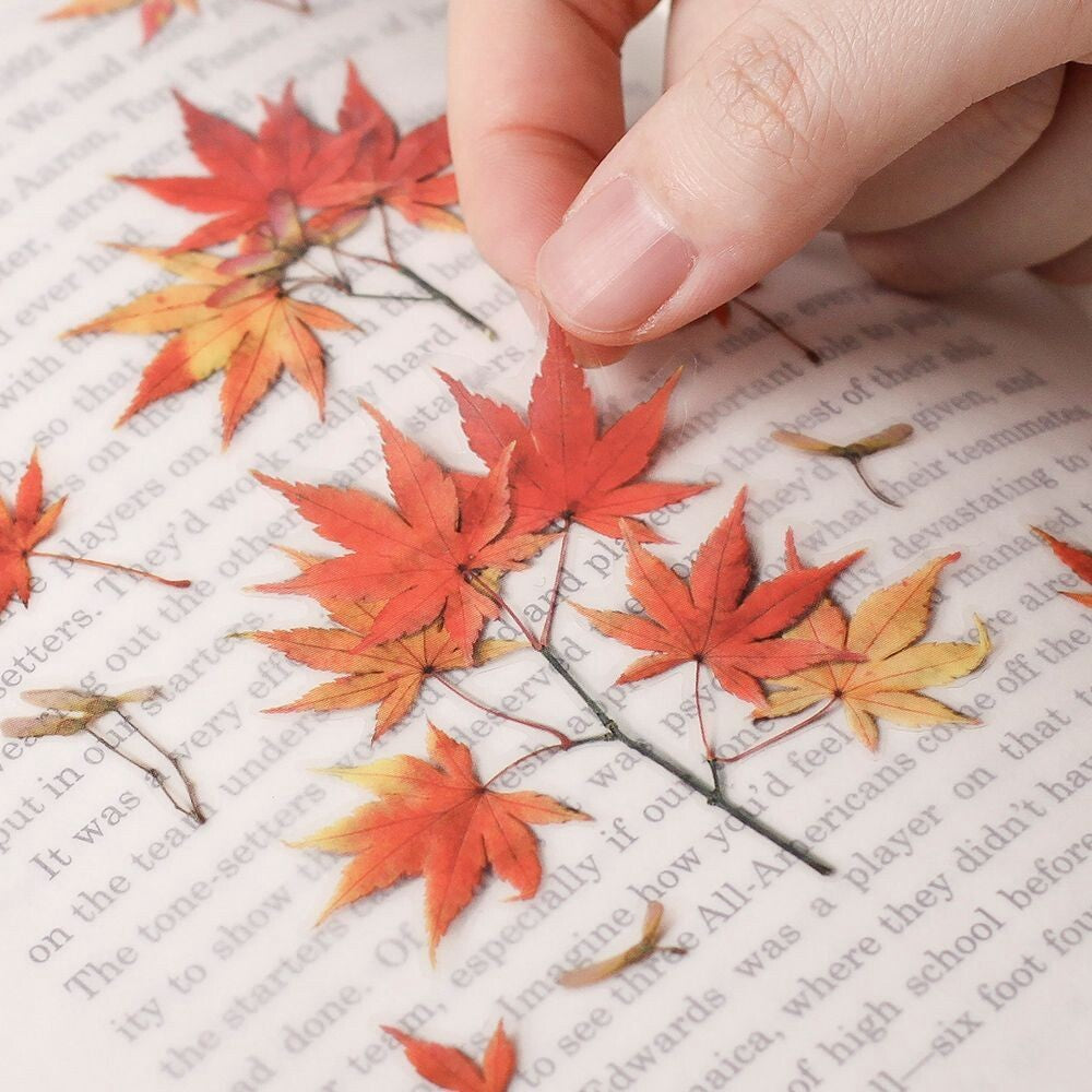 Japanese Maple Pressed Flower Stickers | Appree