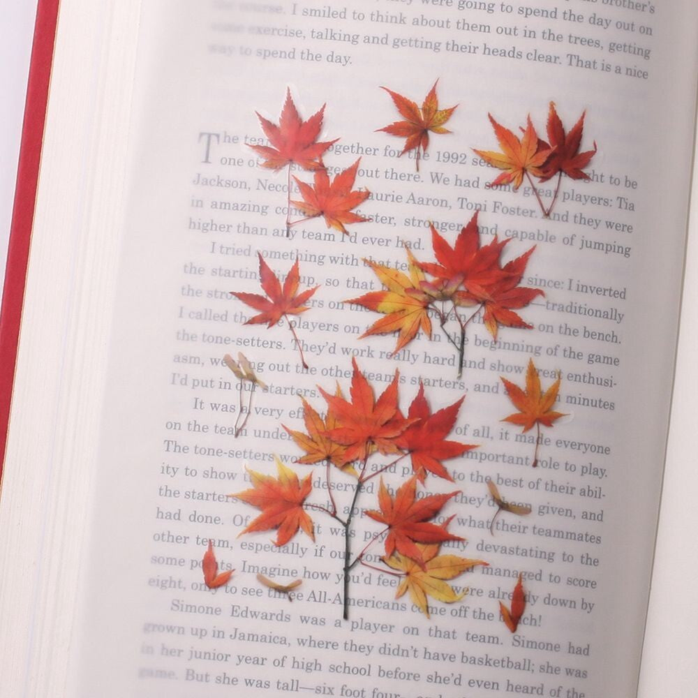 Japanese Maple Pressed Flower Stickers | Appree