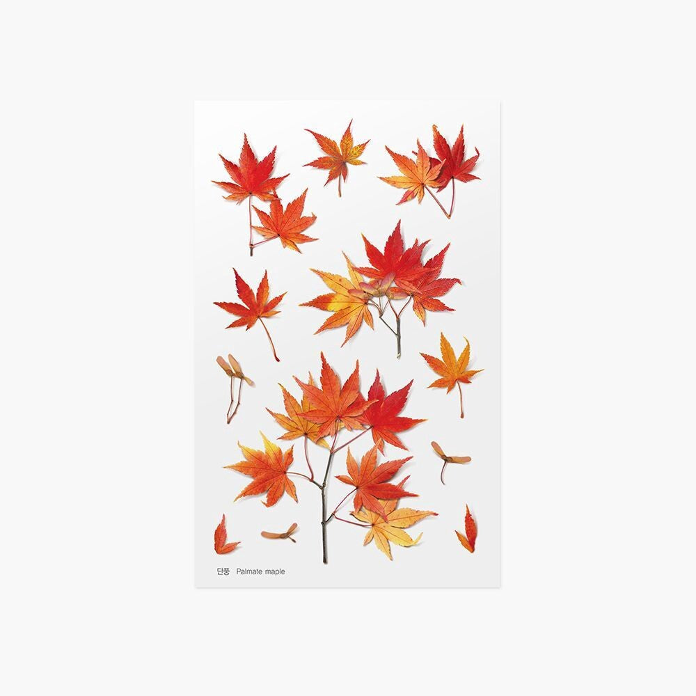 Japanese Maple Pressed Flower Stickers | Appree