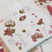 Apple Blossom Pressed Flower Stickers by Appree | Papertail Fox