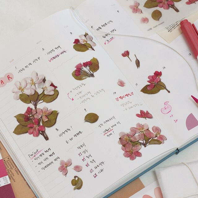 Apple Blossom Pressed Flower Stickers by Appree | Papertail Fox