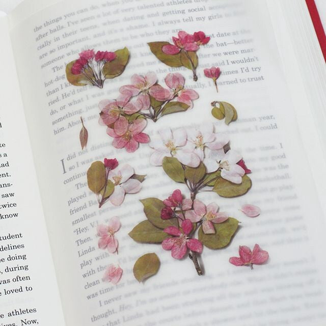Apple Blossom Pressed Flower Stickers | Appree