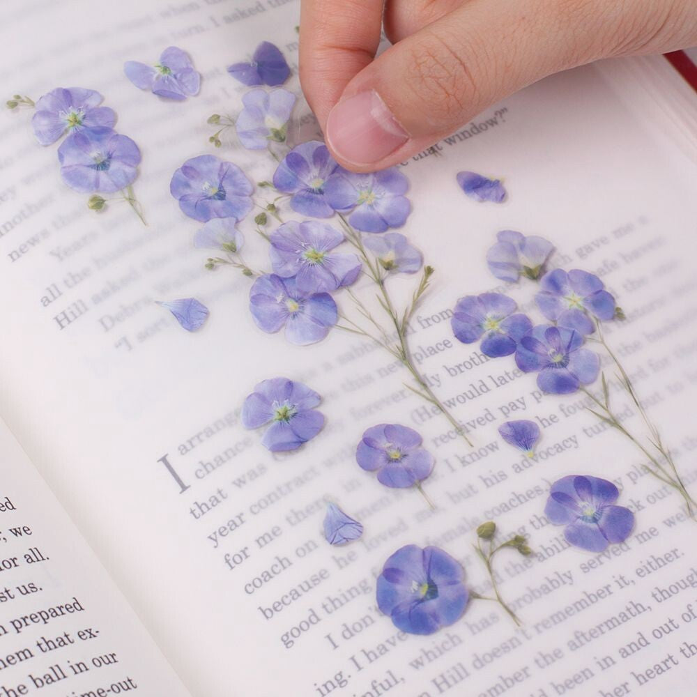 Flax Pressed Flower Stickers | Appree