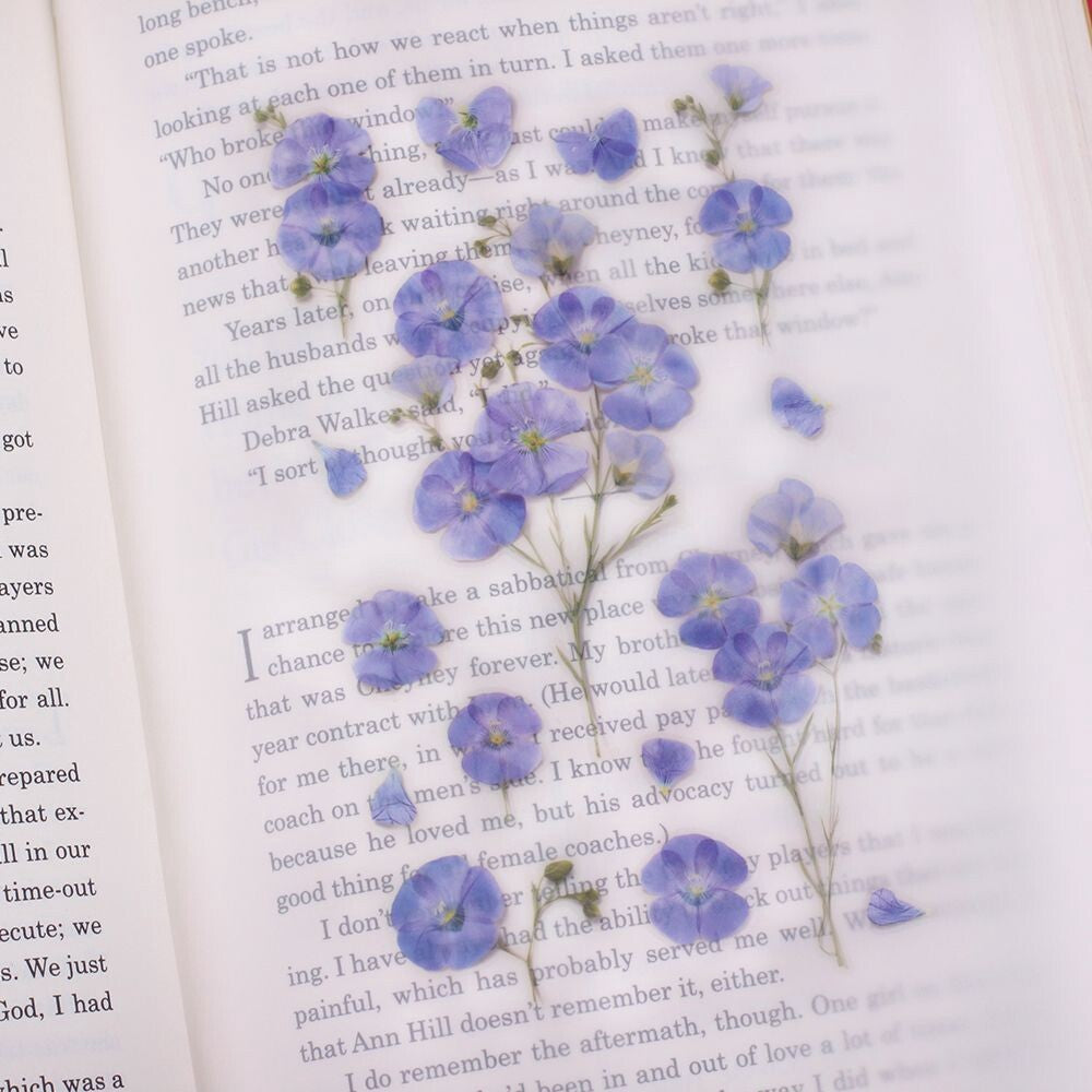 Flax Pressed Flower Stickers | Appree