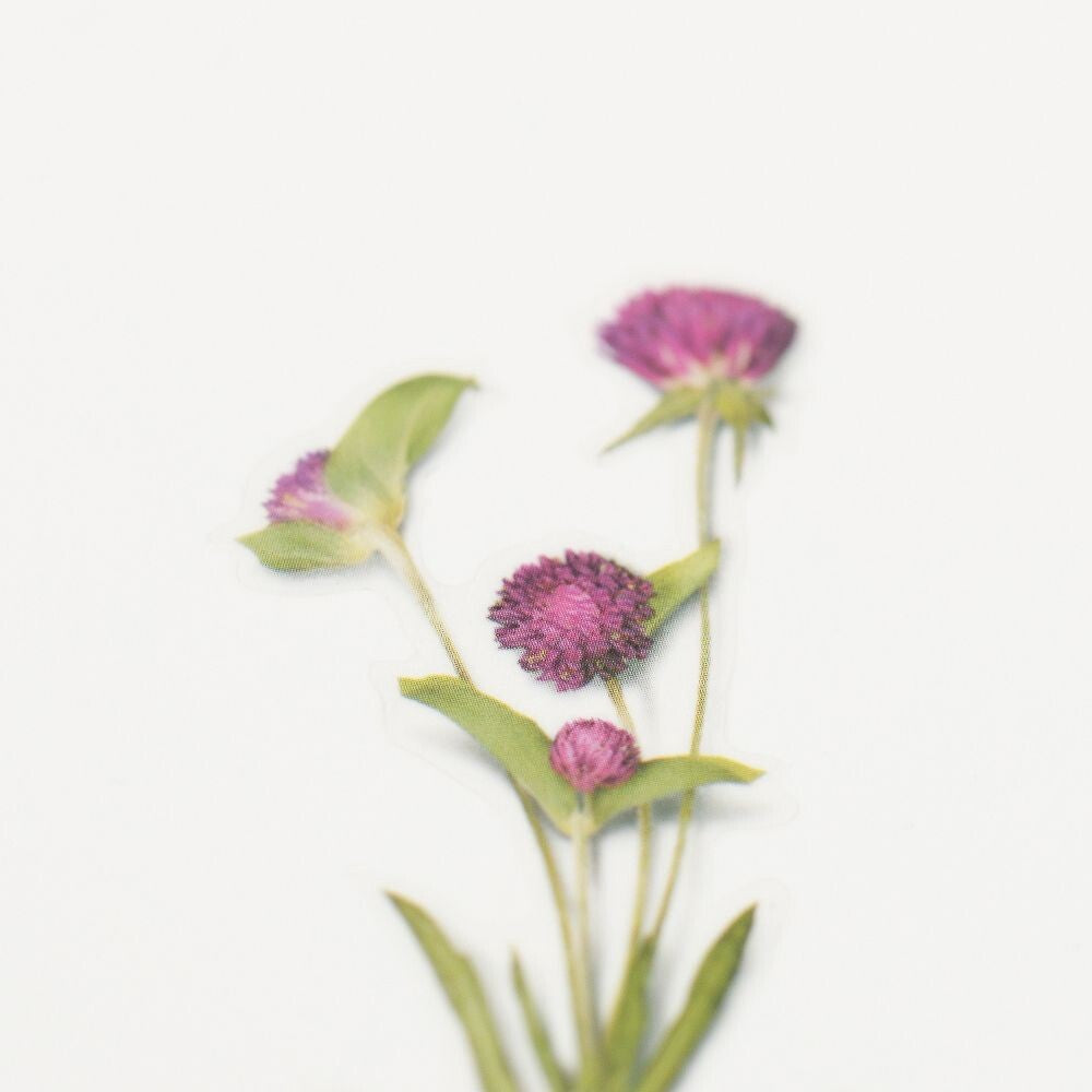 Globe Amaranth Pressed Flower Stickers by Appree | Papertail Fox