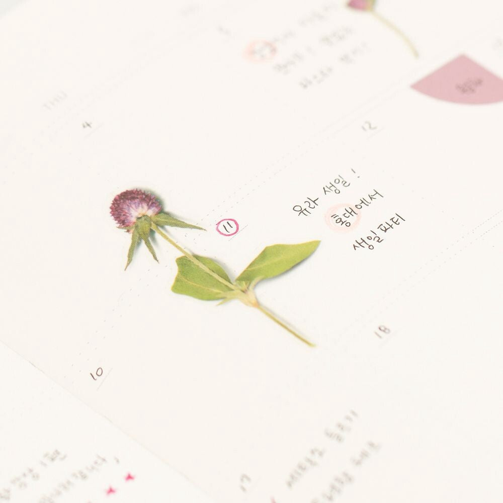 Globe Amaranth Pressed Flower Stickers | Appree