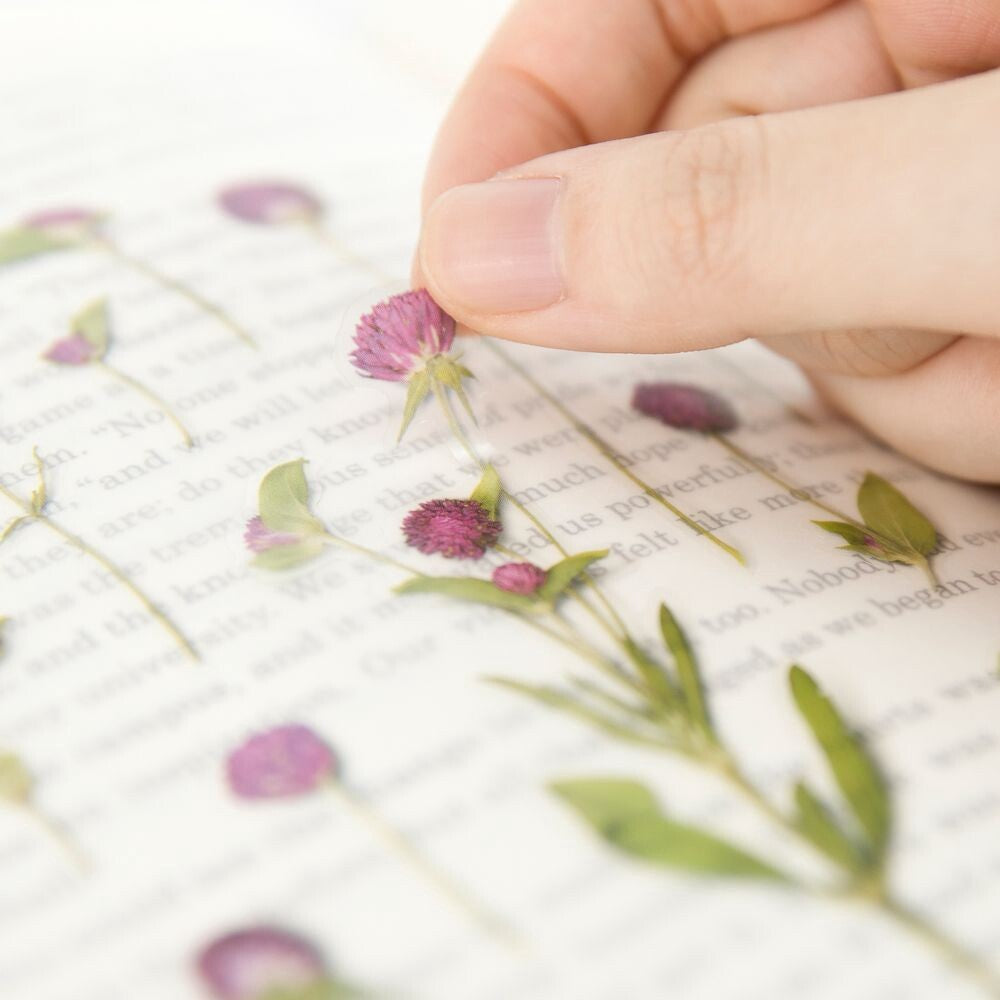 Globe Amaranth Pressed Flower Stickers | Appree