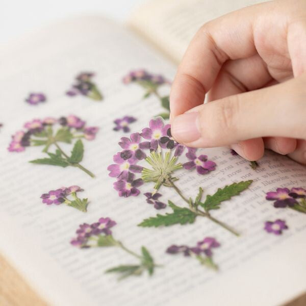 Verbena Pressed Flower Stickers | Appree