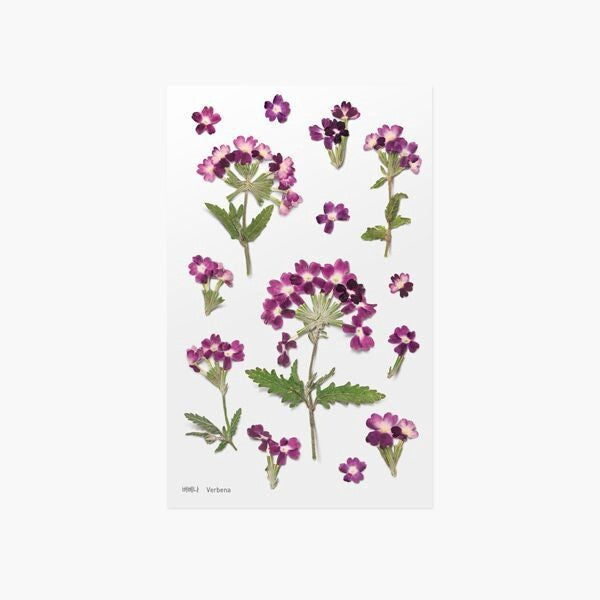 Verbena Pressed Flower Stickers | Appree