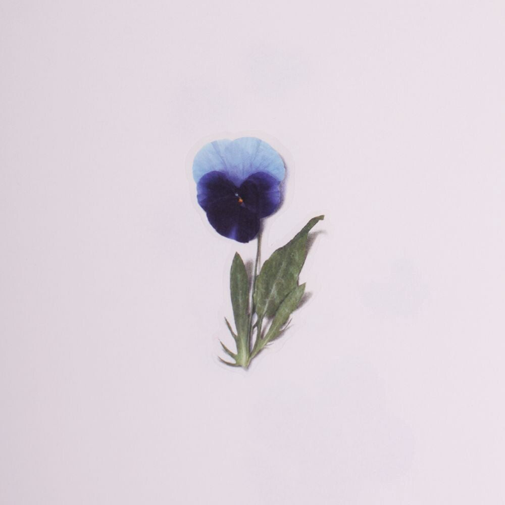Pansy Pressed Flower Stickers | Appree