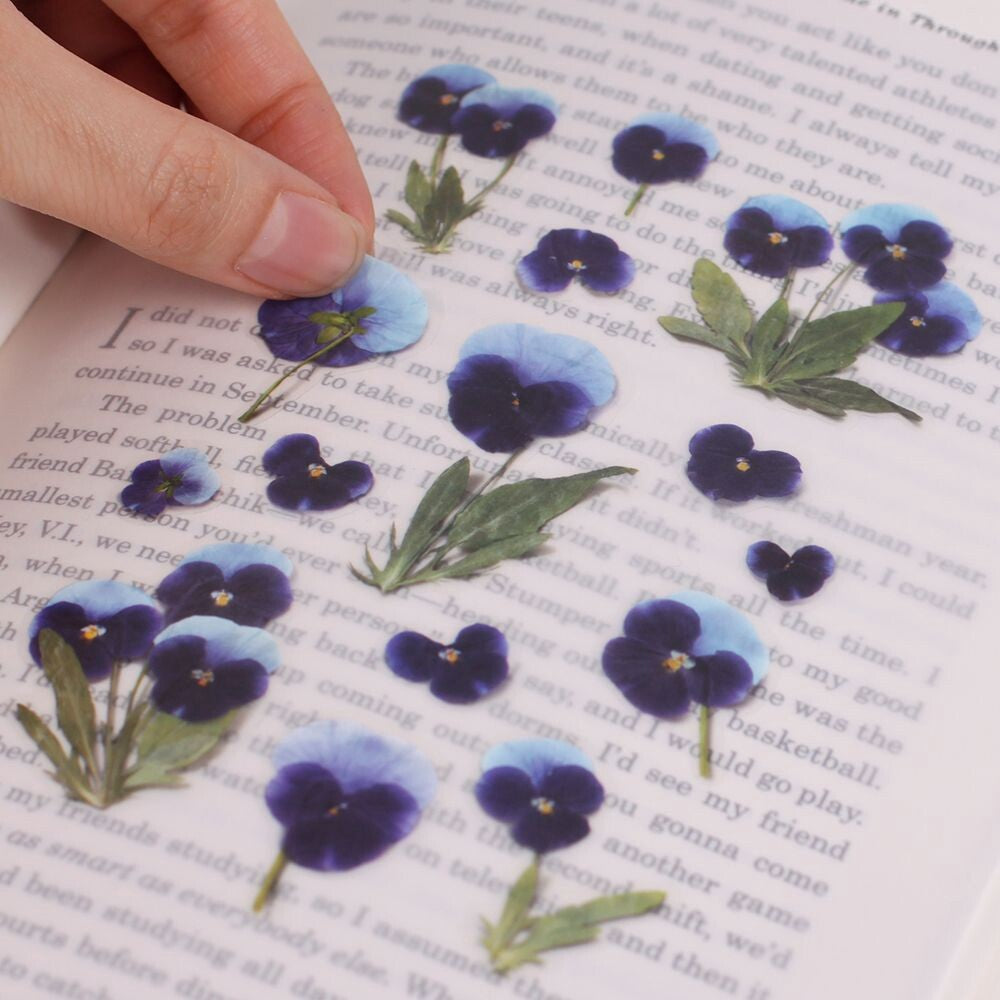 Pansy Pressed Flower Stickers | Appree