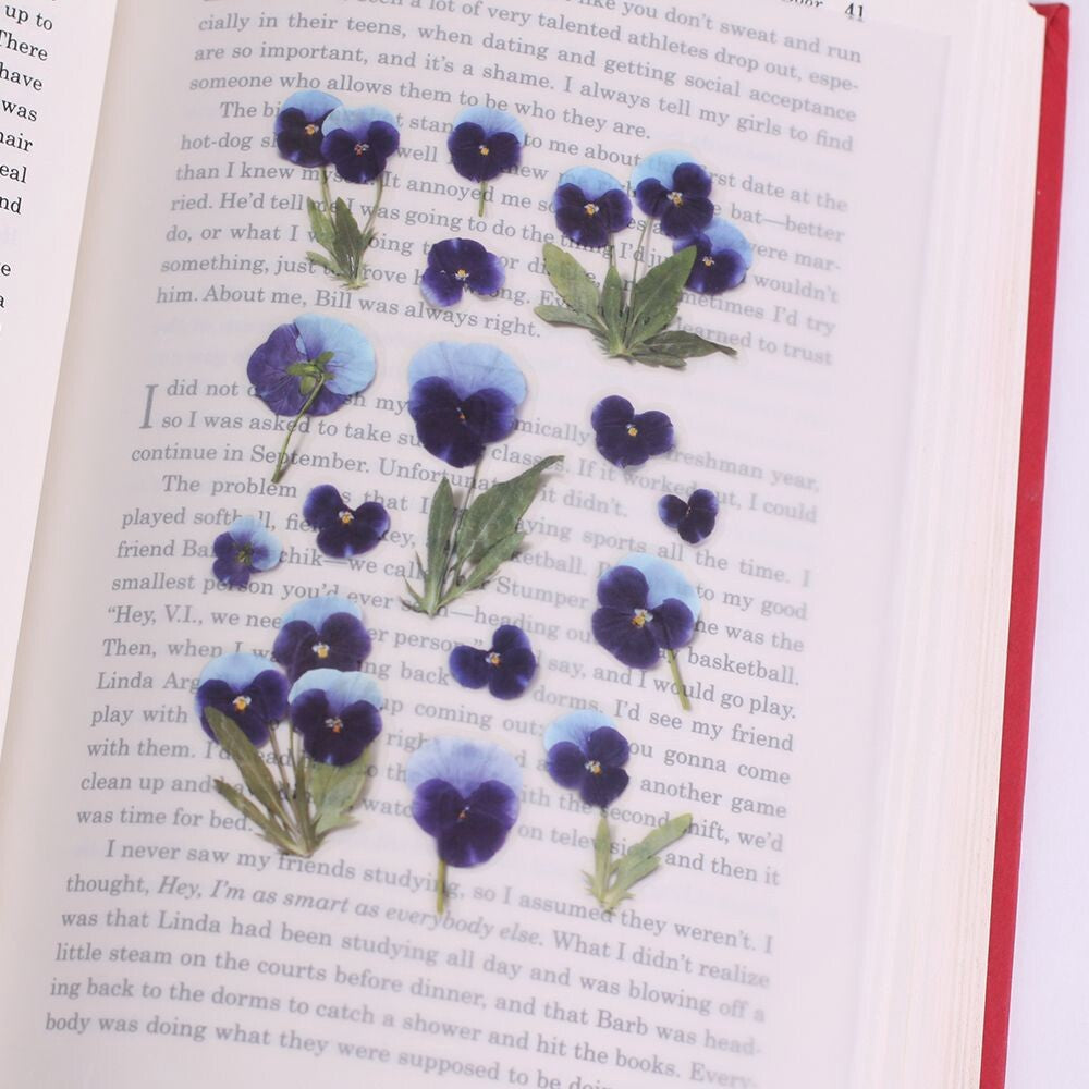 Pansy Pressed Flower Stickers | Appree
