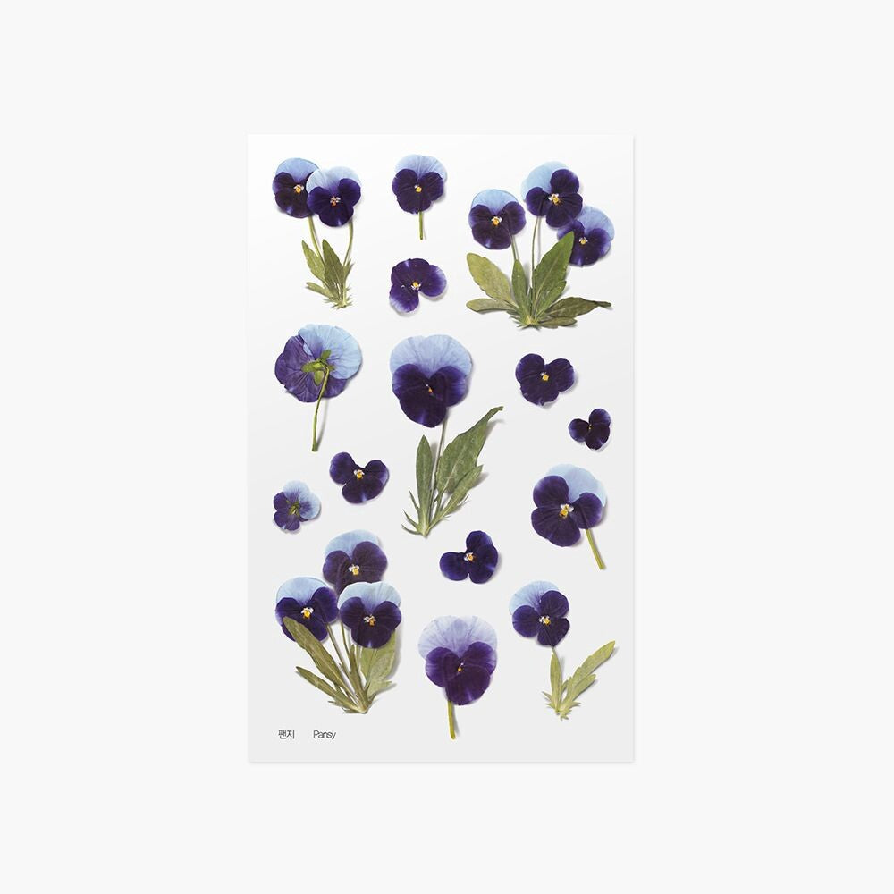 Pansy Pressed Flower Stickers | Appree