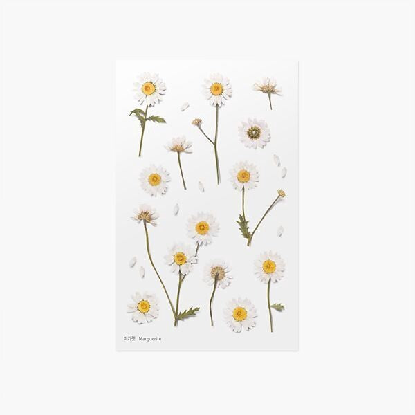 Marguerite Pressed Flower Stickers | Appree