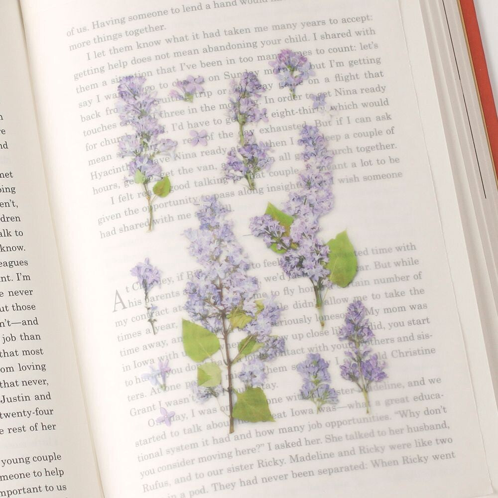 Lilac Pressed Flower Stickers | Appree