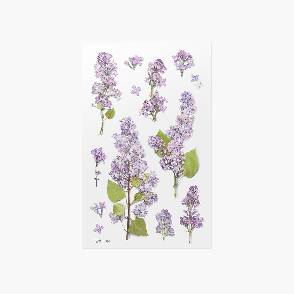 Lilac Pressed Flower Stickers | Appree