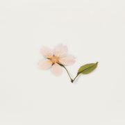 Cherry Blossom Pressed Flower Stickers by Appree | Papertail Fox