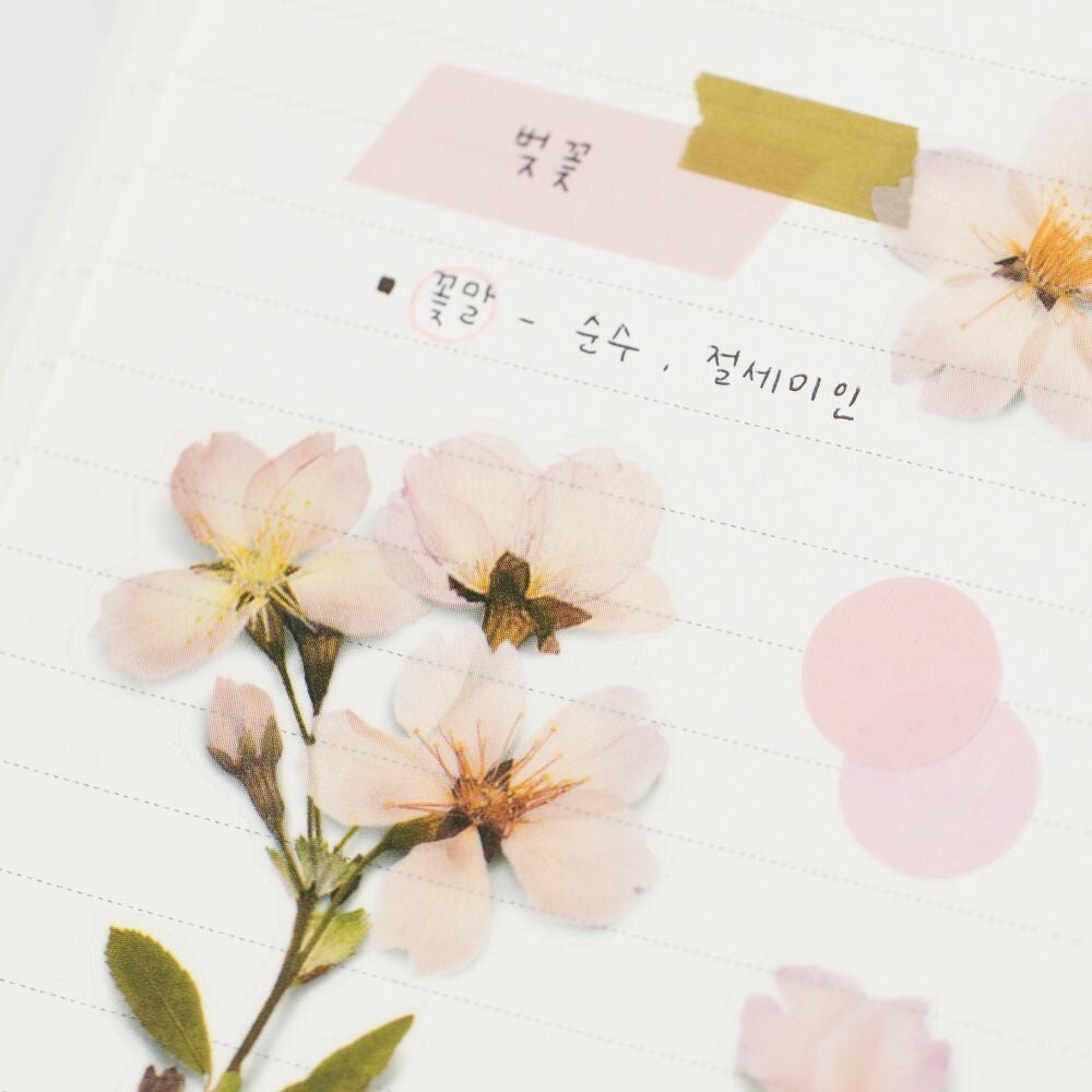 Cherry Blossom Pressed Flower Stickers | Appree