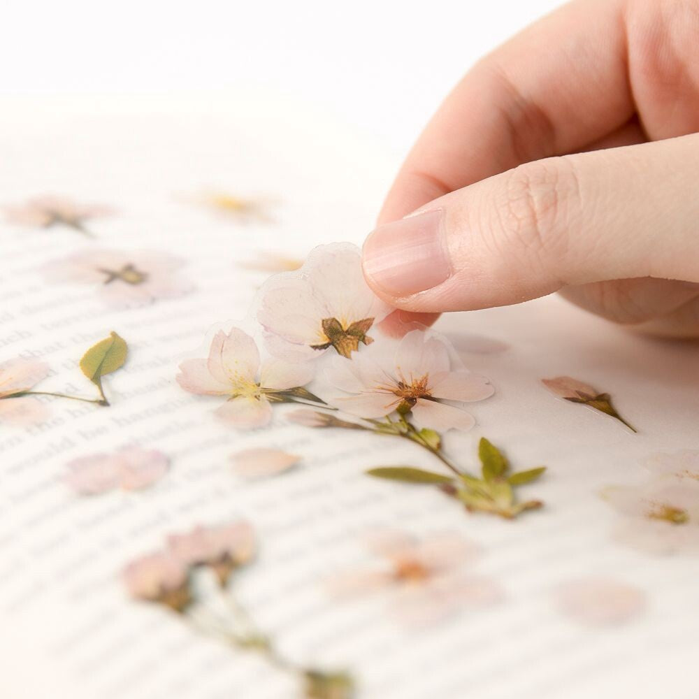 Cherry Blossom Pressed Flower Stickers | Appree