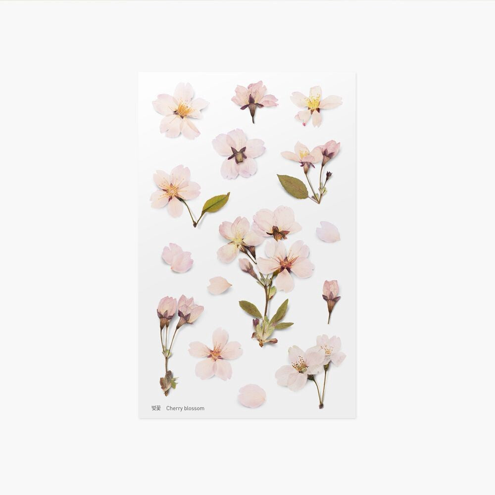 Cherry Blossom Pressed Flower Stickers | Appree