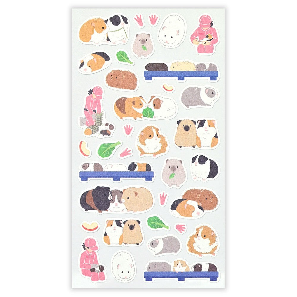 Guinea Pig Zoom In Animals Washi Sticker Sheet | NB Co