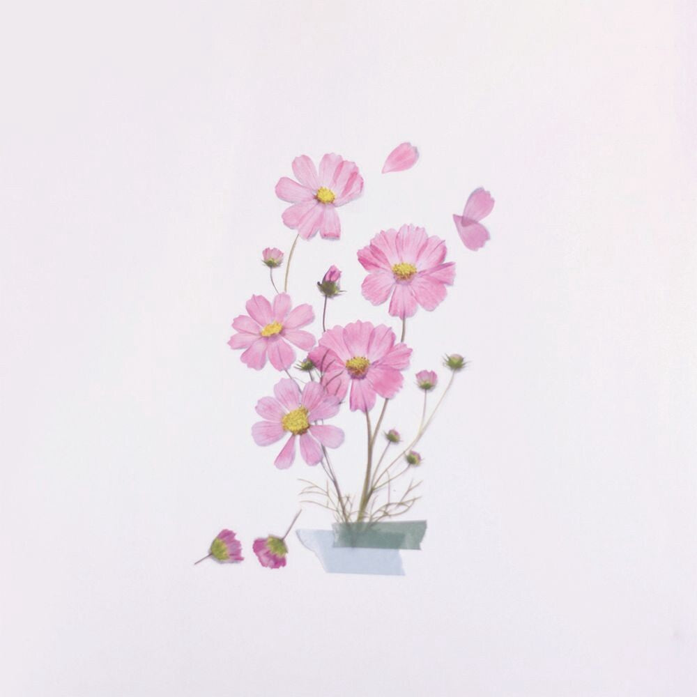 Cosmos Pressed Flower Stickers by Appree | Papertail Fox