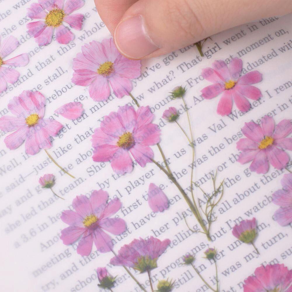 Cosmos Pressed Flower Stickers | Appree