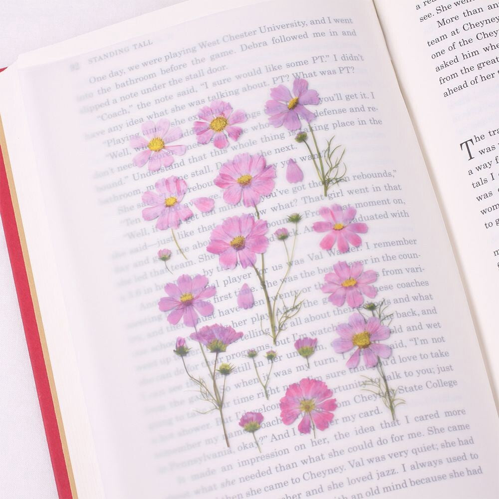 Cosmos Pressed Flower Stickers | Appree