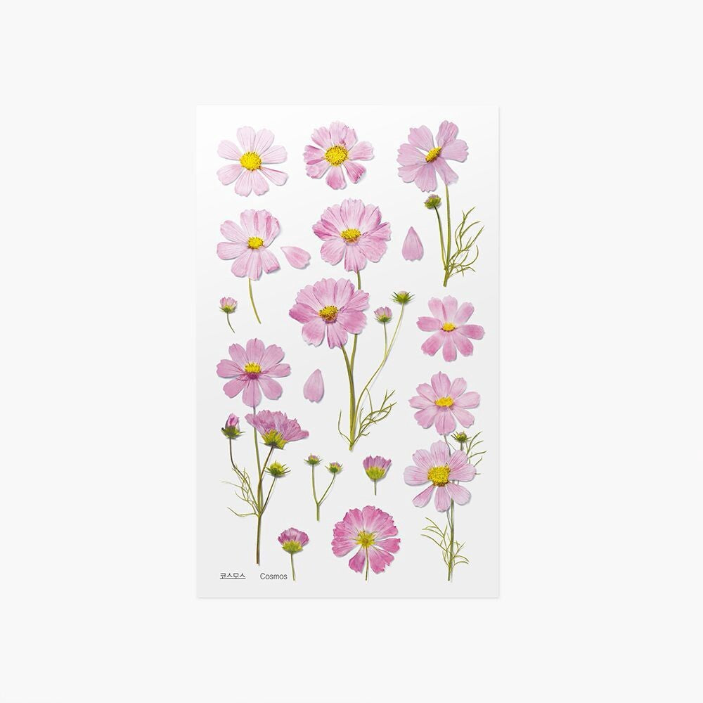 Cosmos Pressed Flower Stickers | Appree